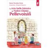 La très belle histoire de Notre Dame de Pellevoisin